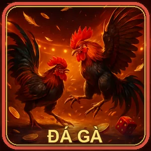 Đá Gà nohu90 đăng nhập