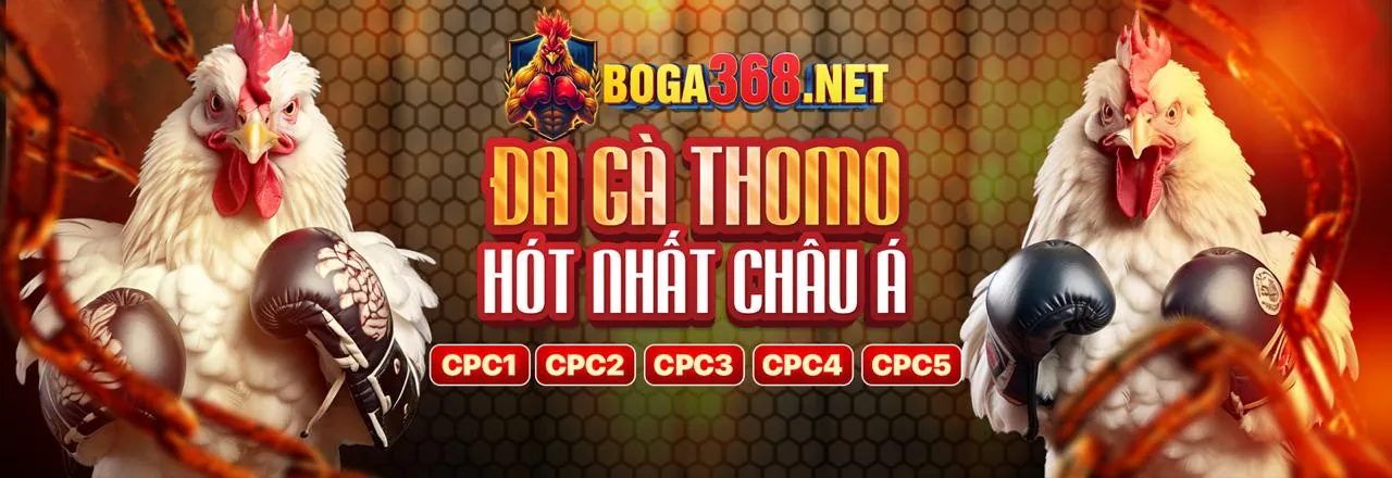 Hướng dẫn đăng nhập Nohu90 an toàn và dễ dàng